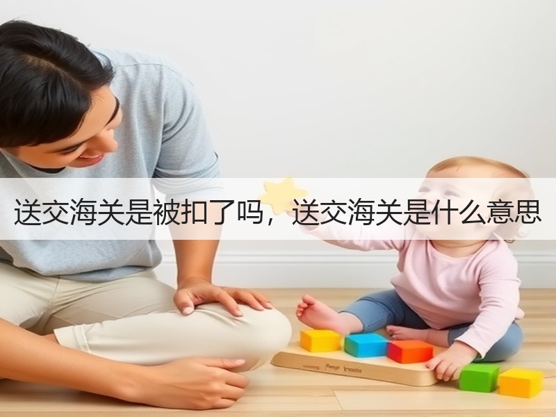 送交海关是被扣了吗，送交海关是什么意思