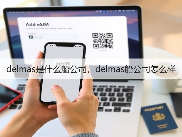 delmas是什么船公司，delmas船公司怎么样(图1)