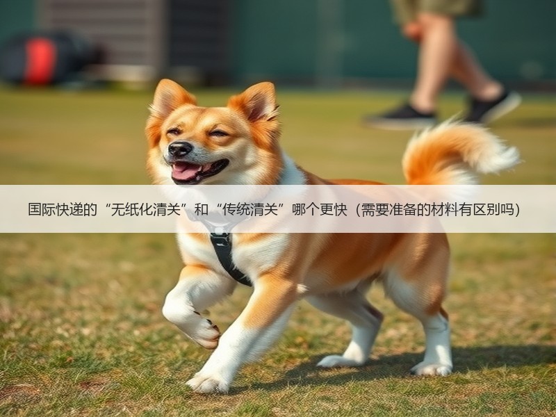 国际快递的“无纸化清关”和“传统清关”哪个更快（需要准备的材料有区别吗）