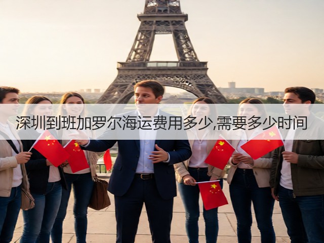 深圳到班加罗尔海运费用多少,需要多少时间(图3)