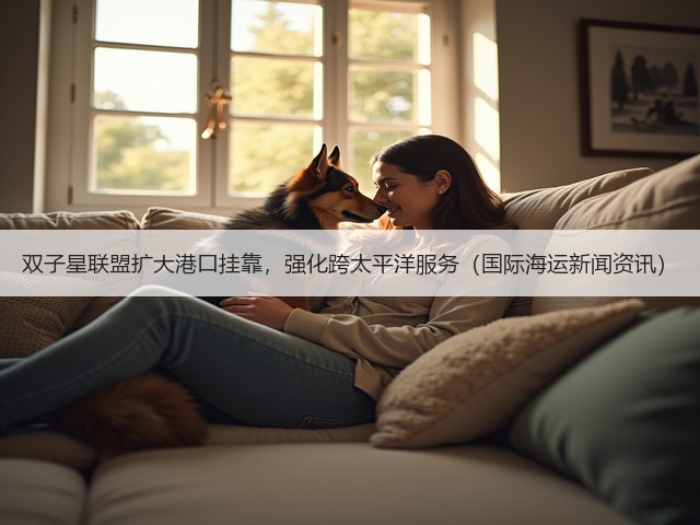 双子星联盟扩大港口挂靠,强化跨太平洋服务(国际海运新闻资讯)(图3) 双子星联盟扩大港口挂靠,强化跨太平洋服务(国际海运新闻资讯)(图3)