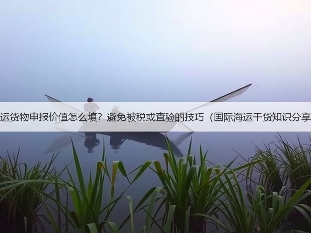 海运货物申报价值怎么填？避免被税或查验的技巧（国际海运干货知识分享）(图1)