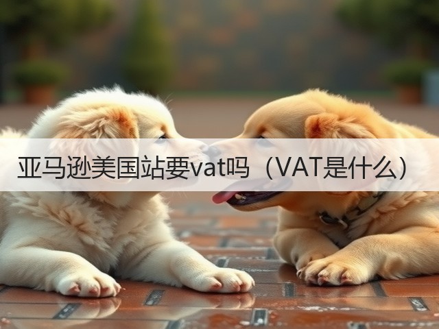 亚马逊美国站要vat吗(VAT是什么)(图1) 亚马逊美国站要vat吗(VAT是什么)(图1)
