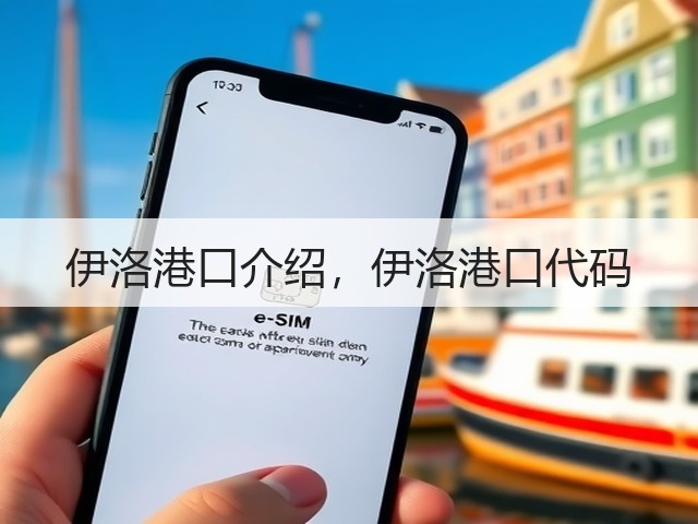 伊洛港口介绍，伊洛港口代码(图3)