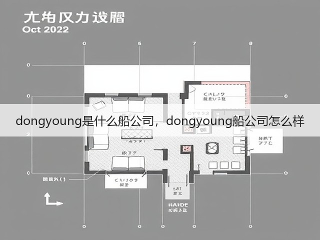 dongyoung是什么船公司,dongyoung船公司怎么样(图2) dongyoung是什么船公司,dongyoung船公司怎么样(图2)