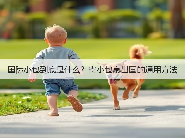国际小包到底是什么？寄小包裹出国的通用方法(图3)