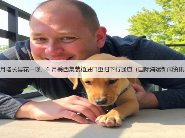 5 月增长昙花一现，6 月美西集装箱进口重归下行通道（国际海运新闻资讯）(图1)