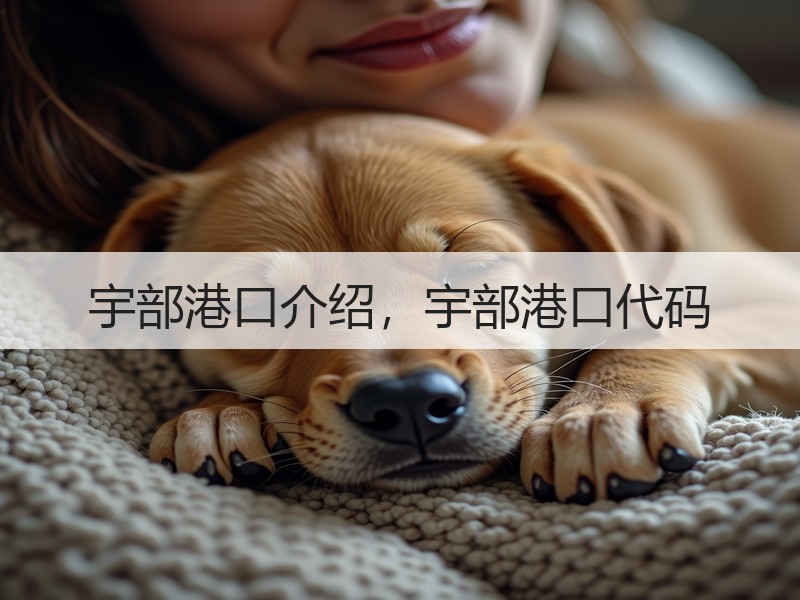 宇部港口介绍，宇部港口代码