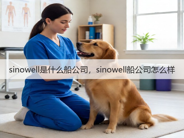 sinowell是什么船公司，sinowell船公司怎么样(图2)