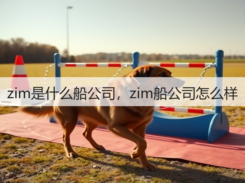 zim是什么船公司，zim船公司怎么样