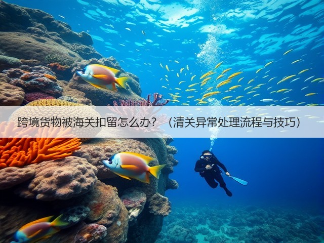 跨境货物被海关扣留怎么办？（清关异常处理流程与技巧）(图1)