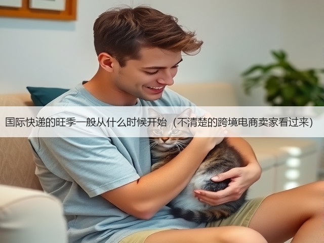 国际快递的旺季一般从什么时候开始(不清楚的跨境电商卖家看过来)(图3) 国际快递的旺季一般从什么时候开始(不清楚的跨境电商卖家看过来)(图3)
