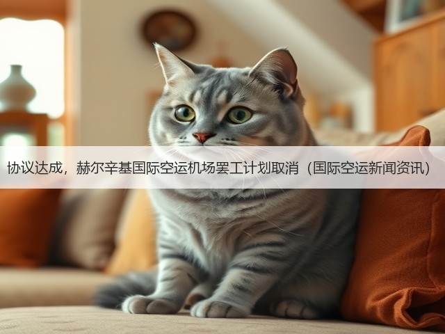 协议达成，赫尔辛基国际空运机场罢工计划取消（国际空运新闻资讯）(图1)