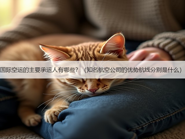 国际空运的主要承运人有哪些?(知名航空公司的优势航线分别是什么)(图1) 国际空运的主要承运人有哪些?(知名航空公司的优势航线分别是什么)(图1)