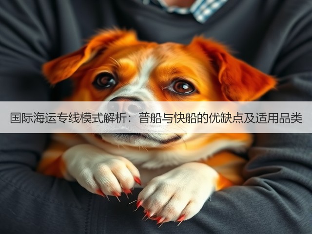 国际海运专线模式解析:普船与快船的优缺点及适用品类(图1) 国际海运专线模式解析:普船与快船的优缺点及适用品类(图1)