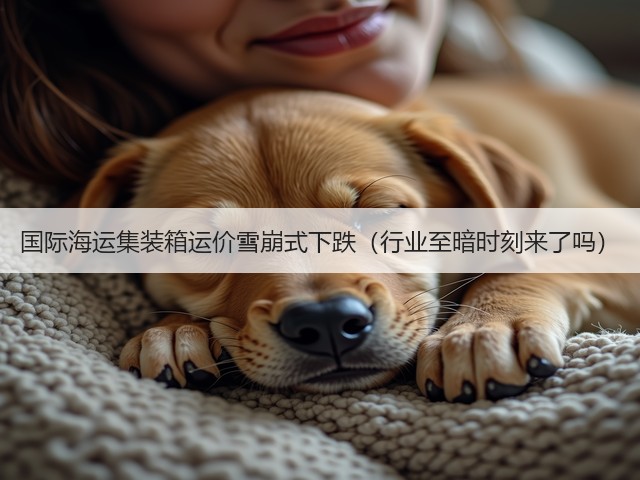 国际海运集装箱运价雪崩式下跌（行业至暗时刻来了吗）(图3)