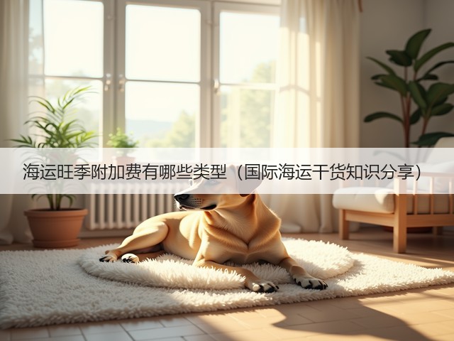 海运旺季附加费有哪些类型(国际海运干货知识分享)(图3) 海运旺季附加费有哪些类型(国际海运干货知识分享)(图3)