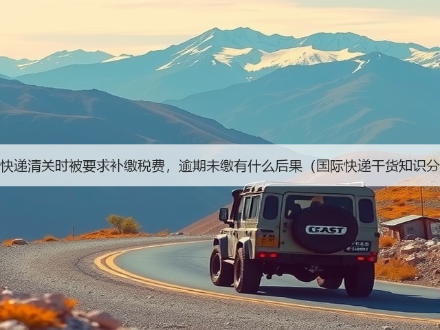 国际快递清关时被要求补缴税费，逾期未缴有什么后果（国际快递干货知识分享）(图3)