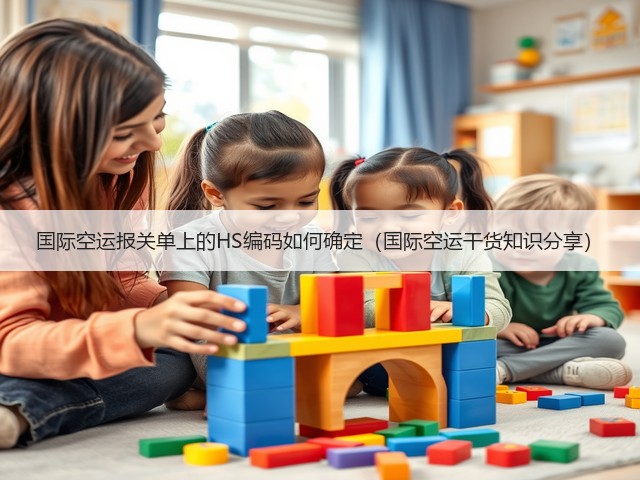 国际空运报关单上的HS编码如何确定(国际空运干货知识分享)(图1) 国际空运报关单上的HS编码如何确定(国际空运干货知识分享)(图1)