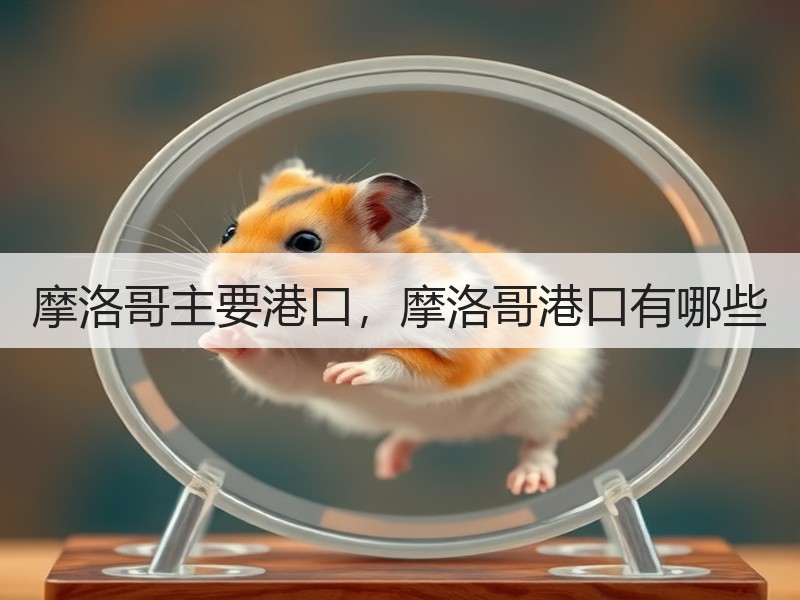 摩洛哥主要港口，摩洛哥港口有哪些