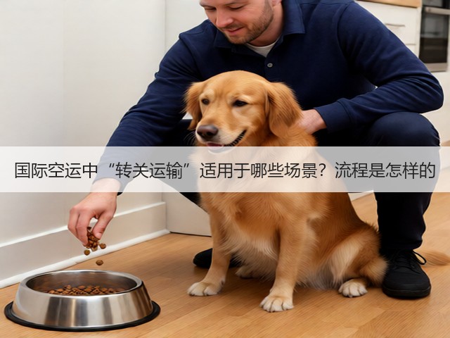 国际空运中“转关运输”适用于哪些场景?流程是怎样的(图2) 国际空运中“转关运输”适用于哪些场景?流程是怎样的(图2)