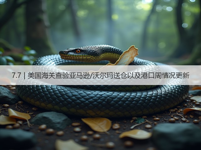 7.7 | 美国海关查验亚马逊/沃尔玛送仓以及港口周情况更新(图3)