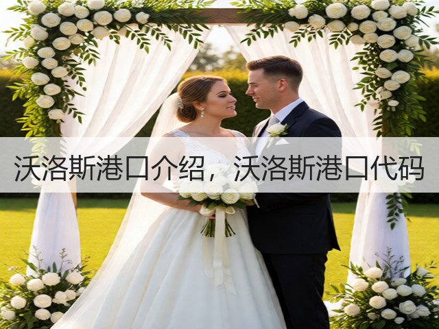沃洛斯港口介绍,沃洛斯港口代码(图1) 沃洛斯港口介绍,沃洛斯港口代码(图1)