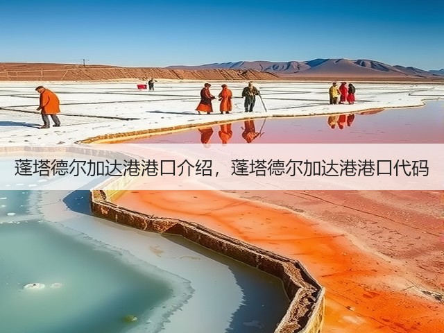 蓬塔德尔加达港港口介绍，蓬塔德尔加达港港口代码(图2)