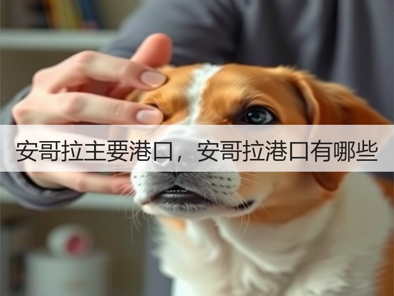 安哥拉主要港口，安哥拉港口有哪些