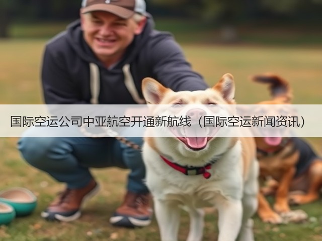 国际空运公司中亚航空开通新航线（国际空运新闻资讯）(图3)