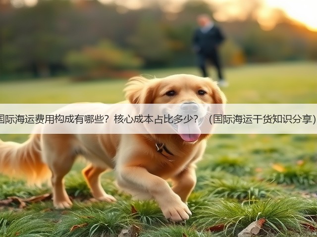 国际海运费用构成有哪些？核心成本占比多少？（国际海运干货知识分享）(图1)