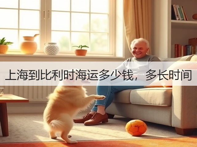 上海到比利时海运多少钱，多长时间(图1)