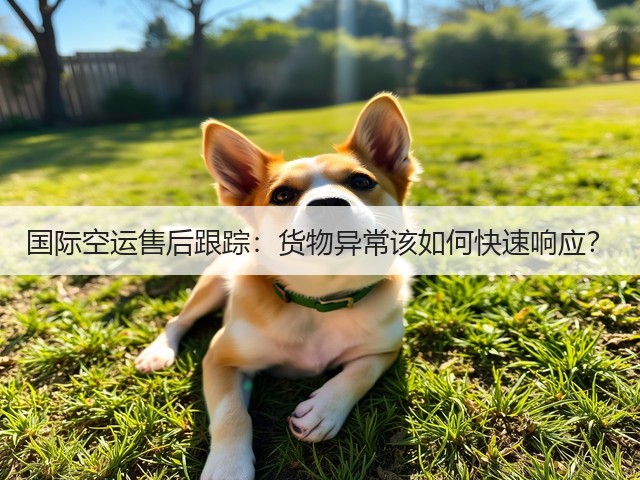 国际空运售后跟踪：货物异常该如何快速响应？(图3)