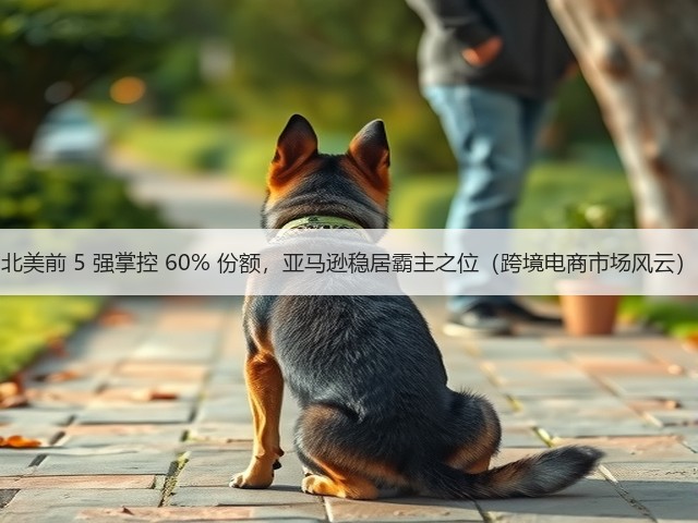 北美前 5 强掌控 60% 份额，亚马逊稳居霸主之位（跨境电商市场风云）(图1)