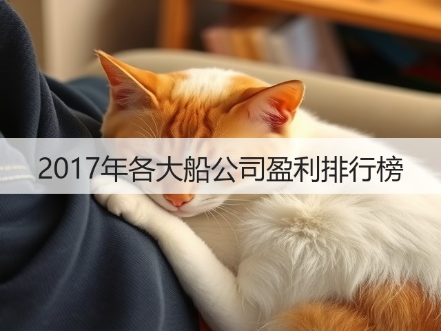2017年各大船公司盈利排行榜(图3) 2017年各大船公司盈利排行榜(图3)