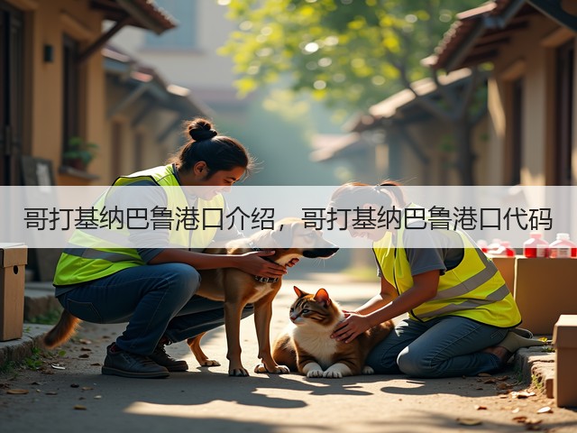 哥打基纳巴鲁港口介绍，哥打基纳巴鲁港口代码(图1)