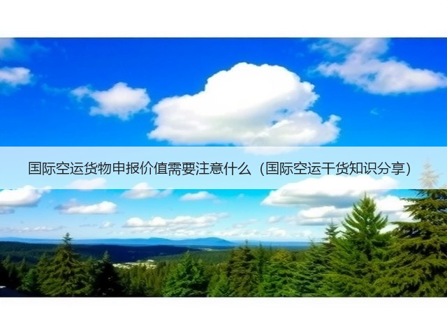 国际空运货物申报价值需要注意什么(国际空运干货知识分享)(图1) 国际空运货物申报价值需要注意什么(国际空运干货知识分享)(图1)