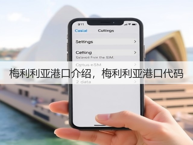 梅利利亚港口介绍，梅利利亚港口代码(图3)