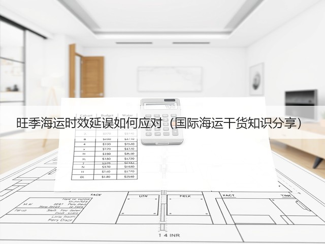 旺季海运时效延误如何应对(国际海运干货知识分享)(图3) 旺季海运时效延误如何应对(国际海运干货知识分享)(图3)