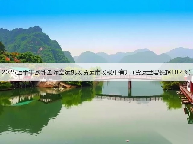 2025上半年欧洲国际空运机场货运市场稳中有升 (货运量增长超10.4%)(图3)