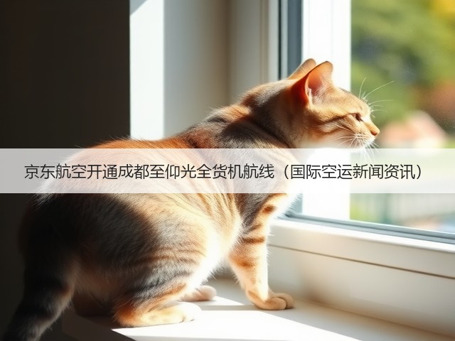 京东航空开通成都至仰光全货机航线(国际空运新闻资讯)(图3) 京东航空开通成都至仰光全货机航线(国际空运新闻资讯)(图3)