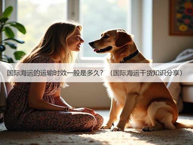 国际海运的运输时效一般是多久？（国际海运干货知识分享）(图3)