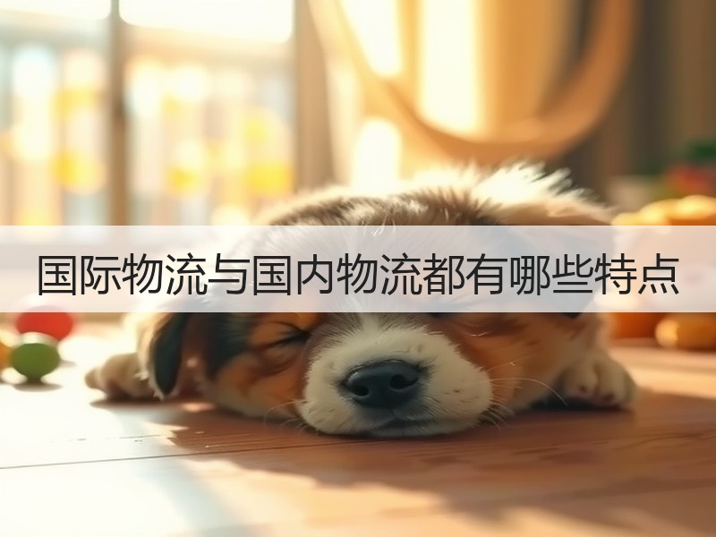 国际物流与国内物流都有哪些特点