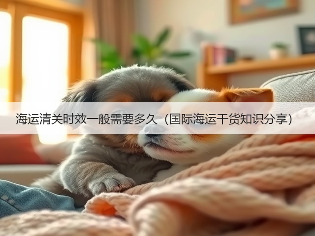 海运清关时效一般需要多久(国际海运干货知识分享)(图3) 海运清关时效一般需要多久(国际海运干货知识分享)(图3)
