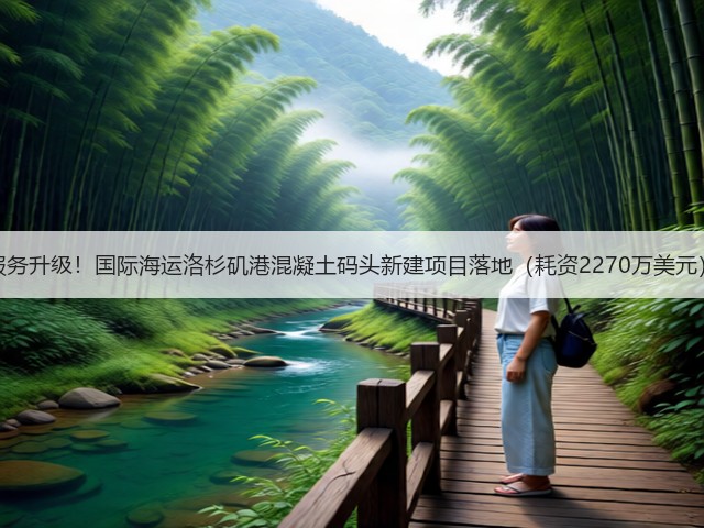 服务升级！国际海运洛杉矶港混凝土码头新建项目落地（耗资2270万美元）(图3)