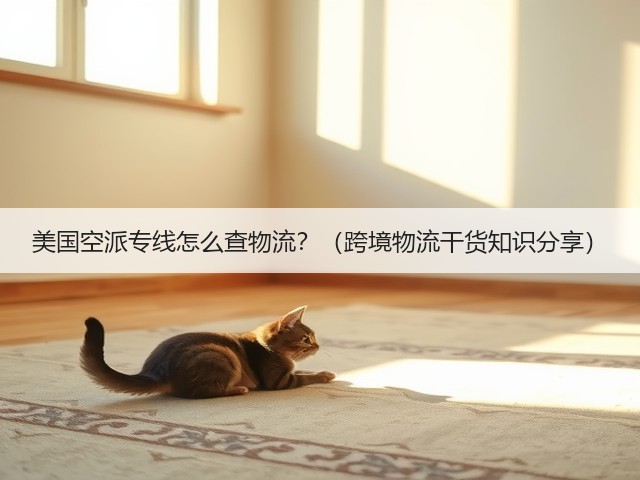 美国空派专线怎么查物流?(跨境物流干货知识分享)(图3) 美国空派专线怎么查物流?(跨境物流干货知识分享)(图3)