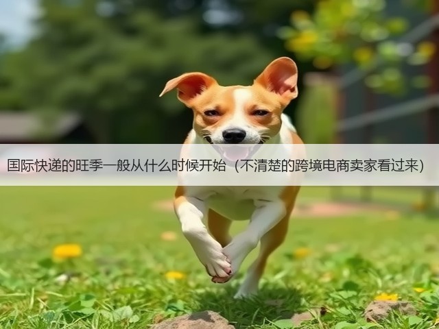 国际快递的旺季一般从什么时候开始（不清楚的跨境电商卖家看过来）(图1)