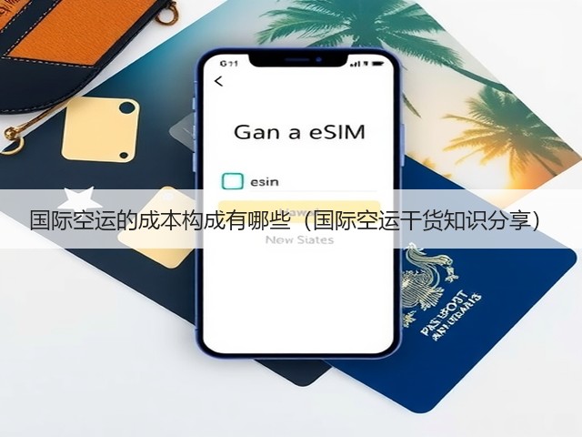 国际空运的成本构成有哪些（国际空运干货知识分享）(图2)