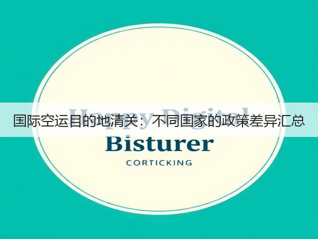 国际空运目的地清关：不同国家的政策差异汇总(图2)
