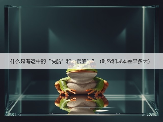 什么是海运中的“快船”和“慢船”？（时效和成本差异多大）(图2)